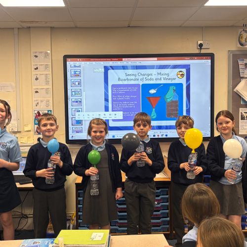 Reversible and Irversible Changes