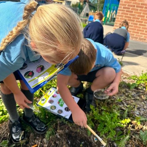 Science around our school!