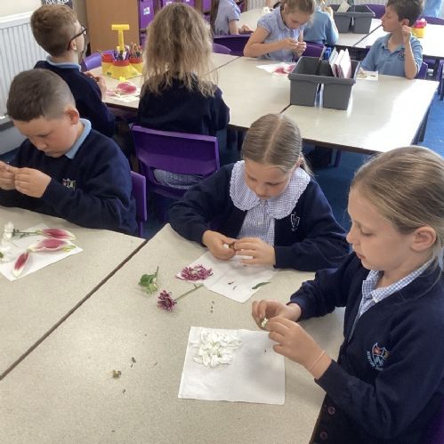 Super science in KS2!